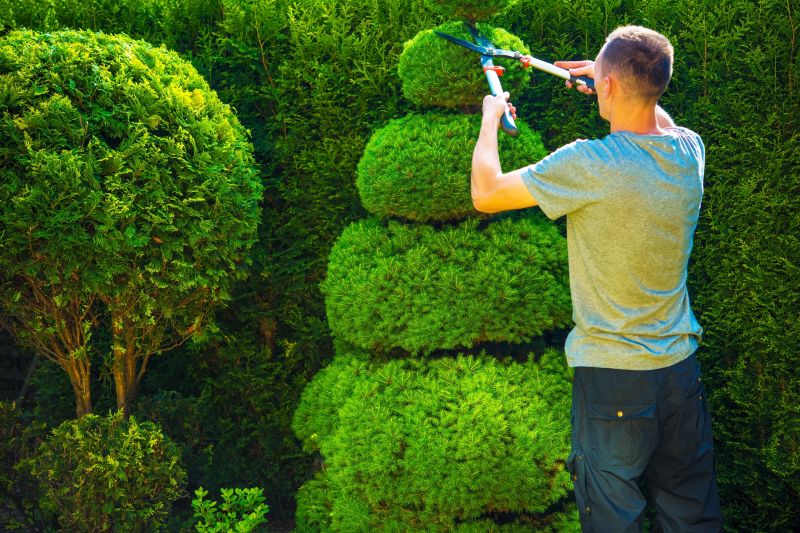 Shrubs with Precise Trimming