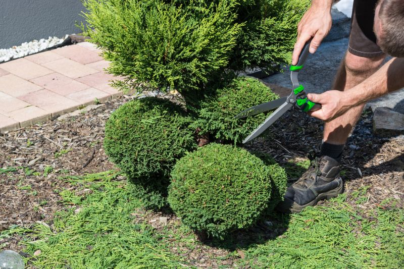 Seasonal Shrub Maintenance