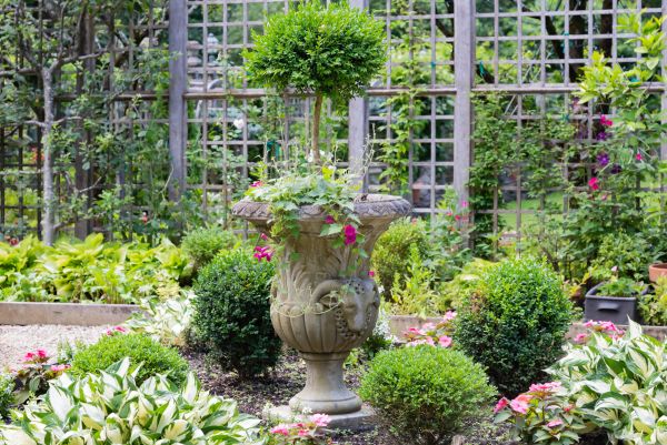 Topiary Pruning in Dover