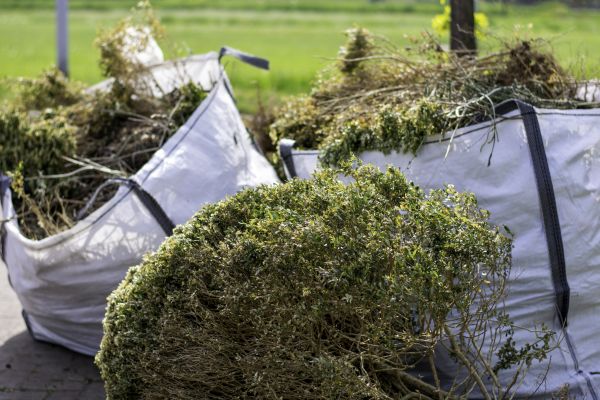 Shrubs Removal in Dover