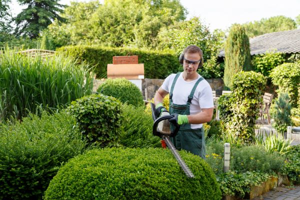 Shrubs Trimming in Dover